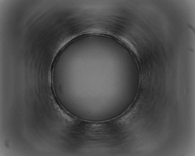 X0000093240839200710171439