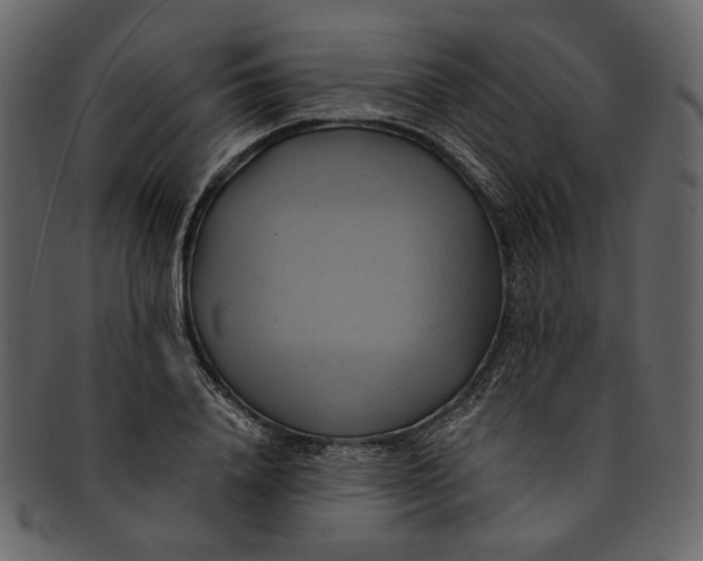 X0000093240840200710171439