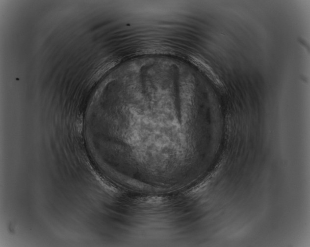 X0000093240841200710171439