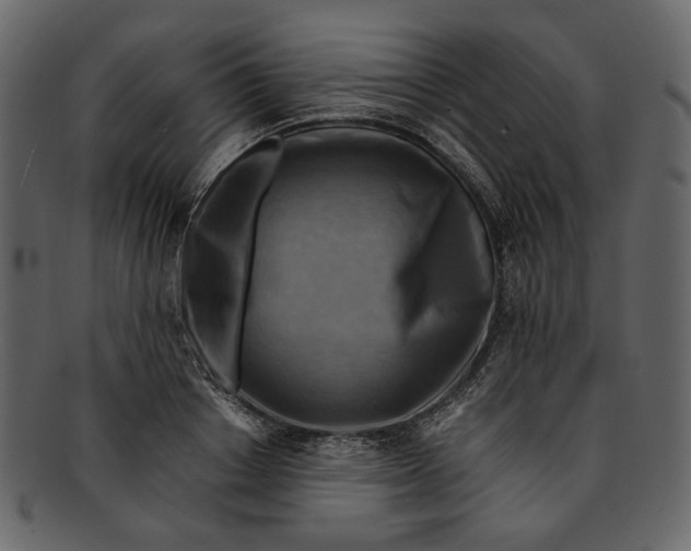 X0000093240842200710171439