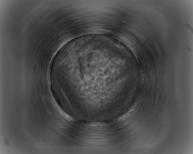 X0000093240843200710171439