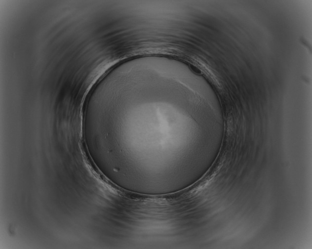 X0000093240844200710171439