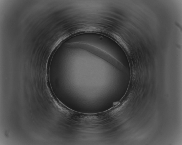 X0000093240845200710171439