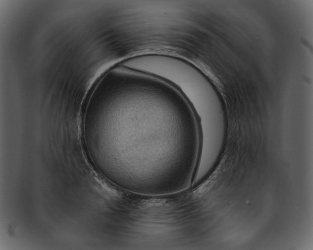 X0000093240846200710171439