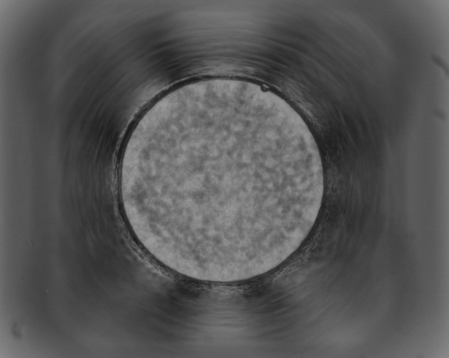 X0000093240848200710171439