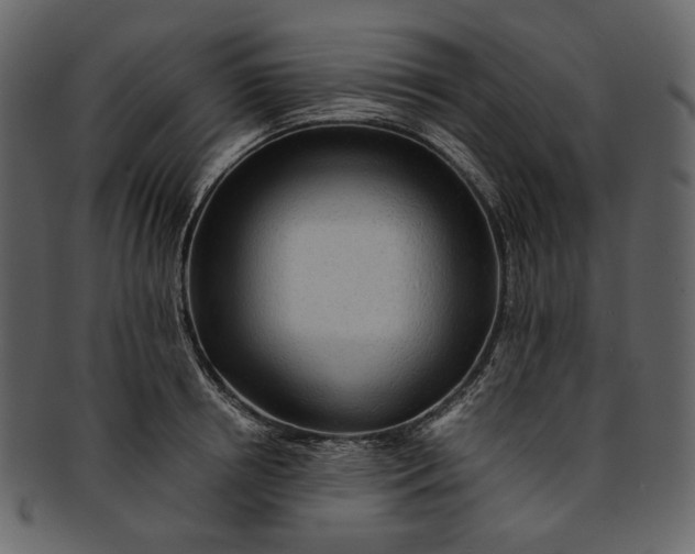 X0000093240850200710171439