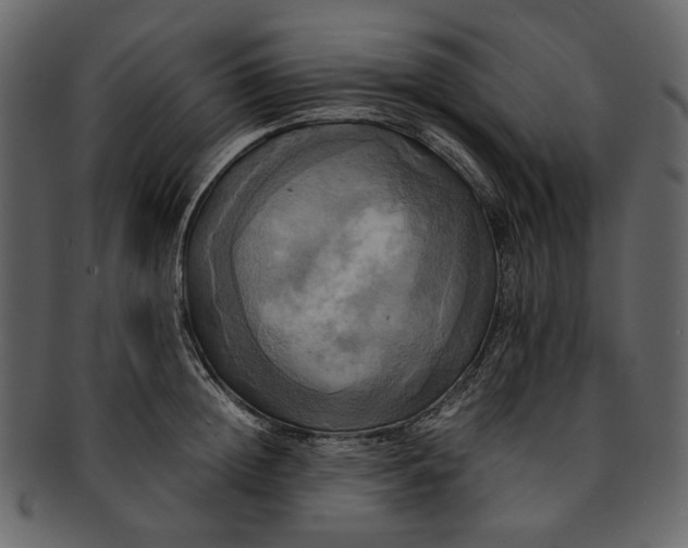 X0000093240852200710171439