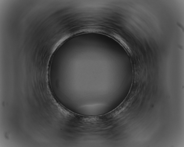 X0000093240853200710171439