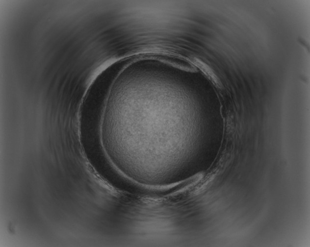 X0000093240854200710171439