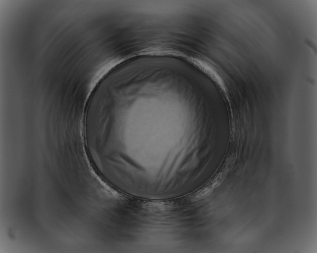 X0000093240855200710171439