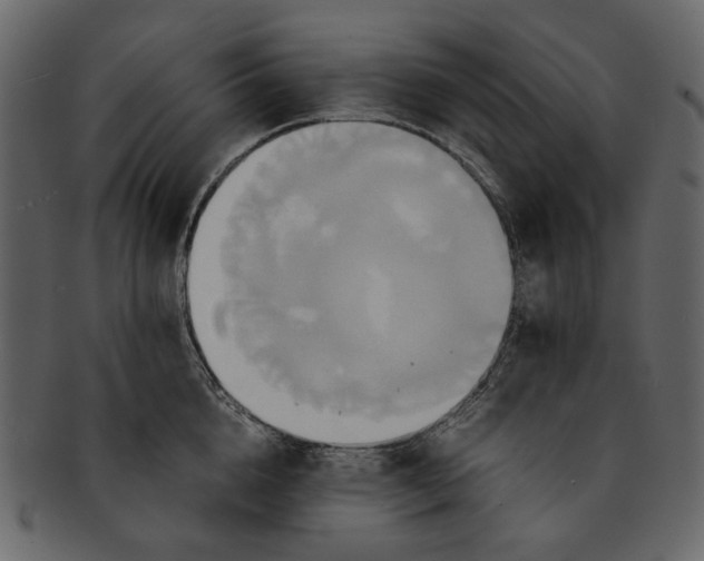 X0000093240856200710171439