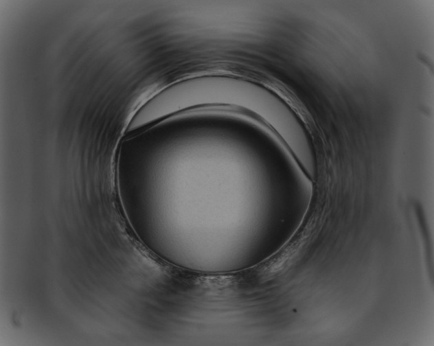 X0000093240858200710171439