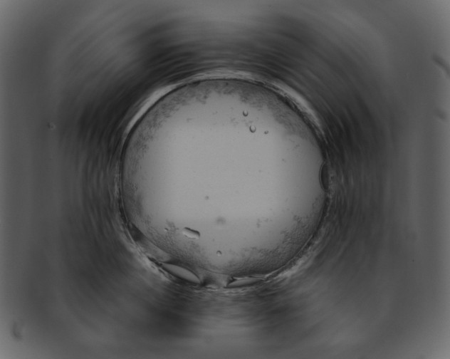 X0000093240860200710171439