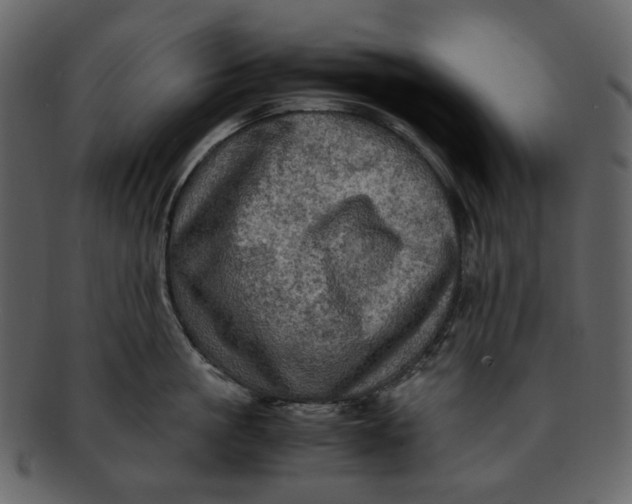 X0000093240861200710171439