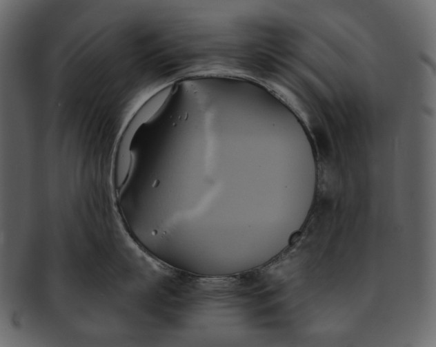 X0000093240863200710171439