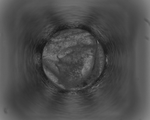 X0000093240867200710171439