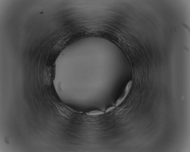 X0000093240868200710171439