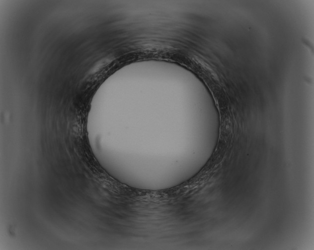 X0000093240869200710171439