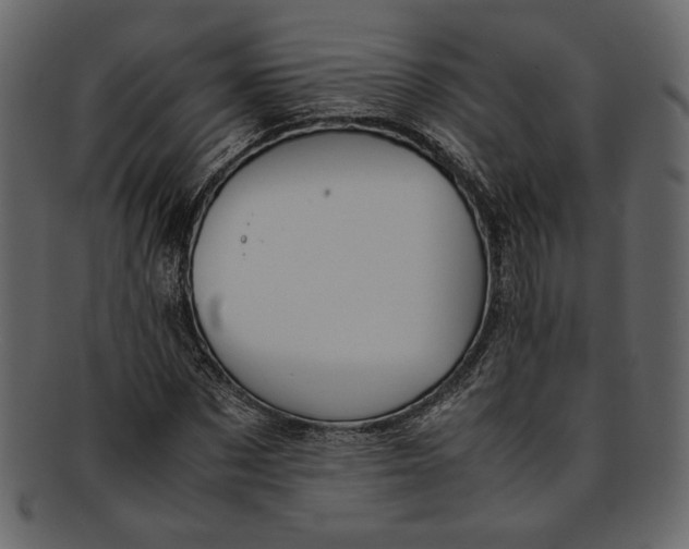 X0000093240873200710171439