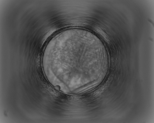 X0000093240875200710171438