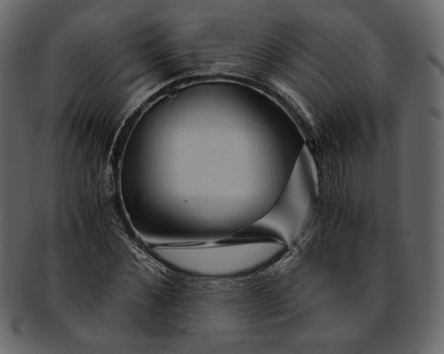 X0000093240876200710171438