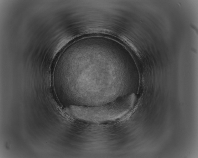 X0000093240877200710171438