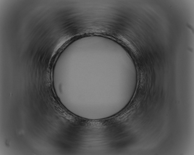 X0000093240878200710171438