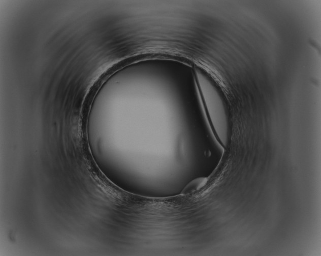 X0000093240880200710171438