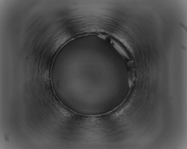 X0000093240881200710171438