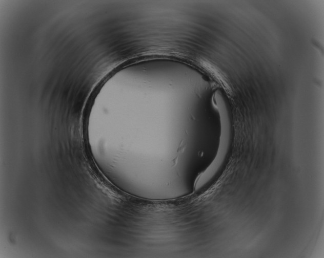 X0000093240884200710171438