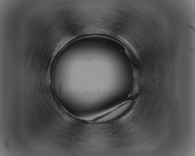 X0000093240885200710171438