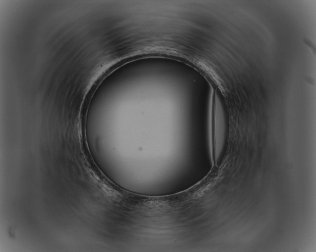 X0000093240888200710171438