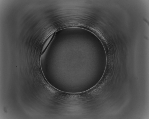 X0000093240889200710171438