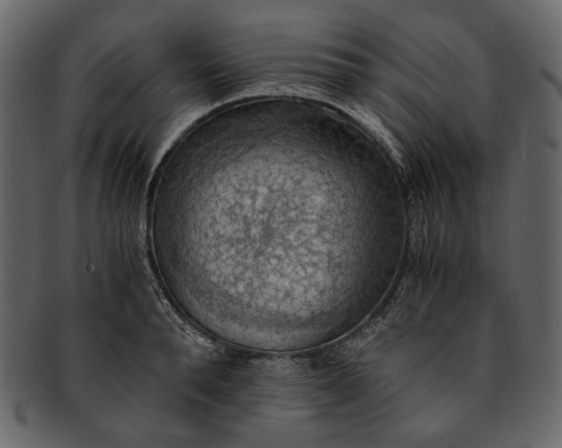 X0000093240896200710171438