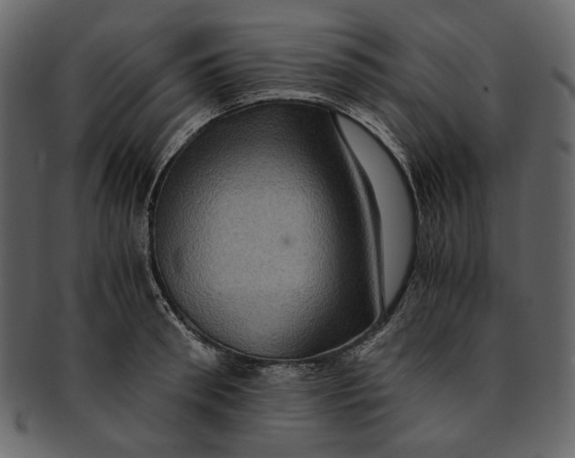 X0000093240898200710171438