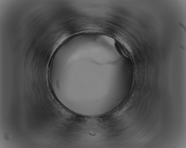 X0000093240899200710171438