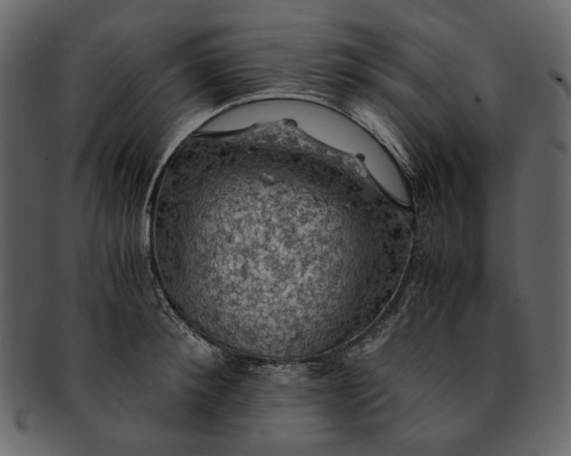 X0000093240900200710171438