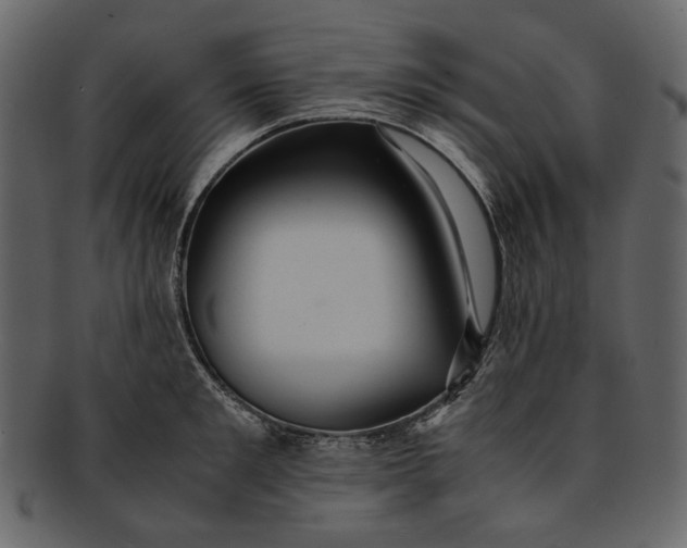 X0000093240901200710171438