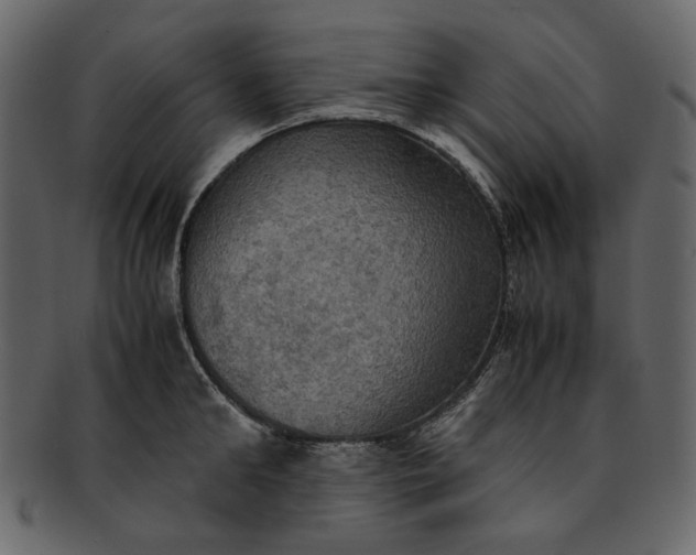 X0000093240902200710171438