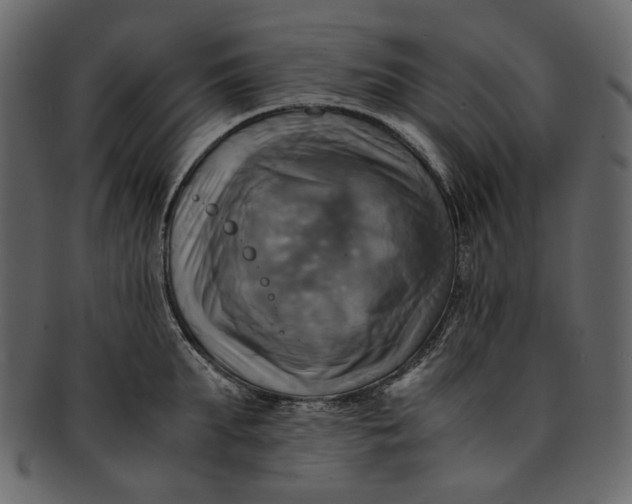 X0000093240903200710171438