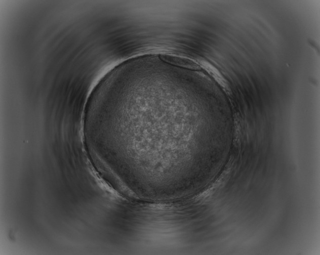 X0000093240904200710171438