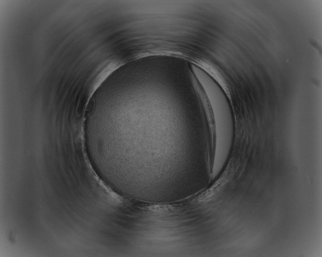 X0000093240906200710171438