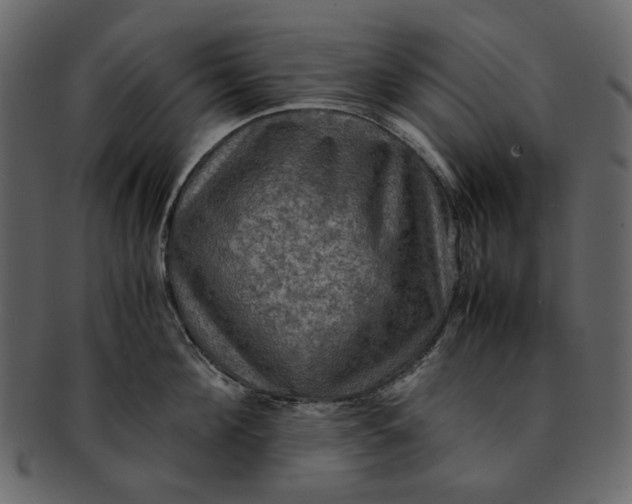 X0000093240908200710171438