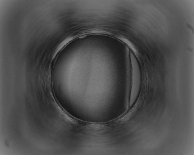 X0000093240910200710171438