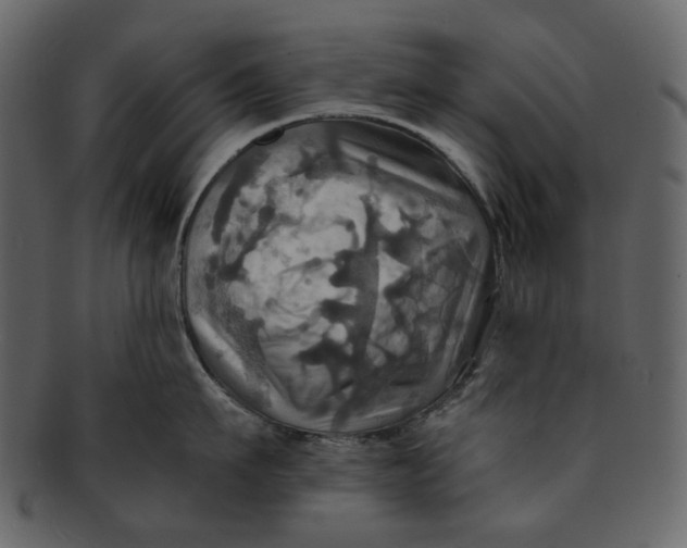 X0000093240911200710171438