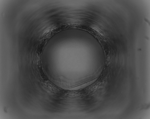 X0000093240917200710171437