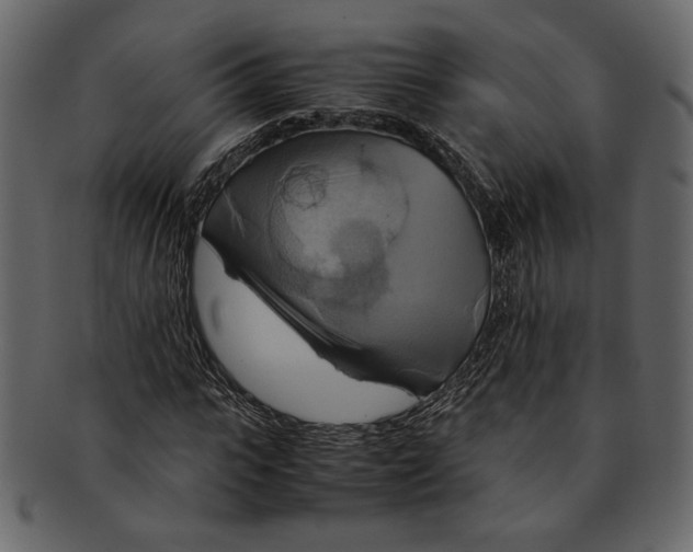 X0000093240919200710171437