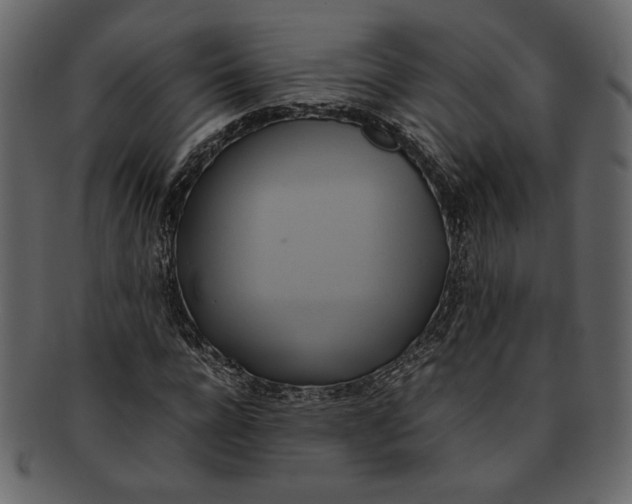 X0000093240920200710171437