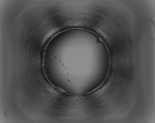 X0000093240922200710171437