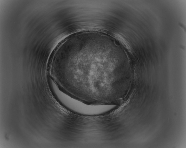 X0000093240924200710171437